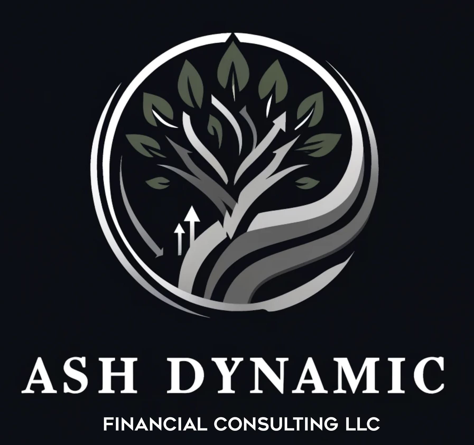 66b0d0ccec8f1_ASH Consulting logo (1) (1)